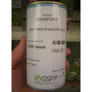 Compra TOMATE MAXIFORT F-1 Pildorada (10.000 Semillas) en la tienda online Fito Agrícola