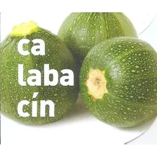 Compra CALABACÍN REDONDO ECOLÓGICO MSE6 en la tienda online Fito Agrícola