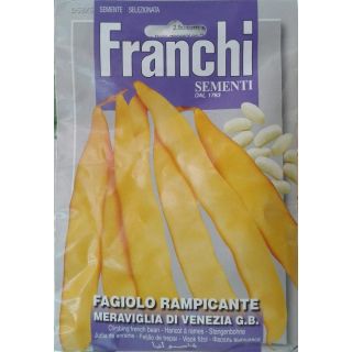 Compra JUDÍA MARAVILLA DE VENECIA GRANO BLANCO (30 gr.). en la tienda online Fito Agrícola