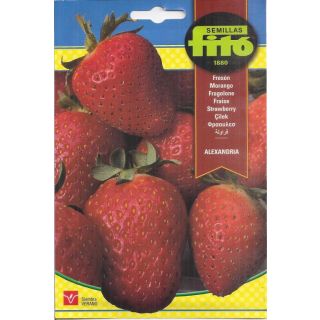 Compra FRESÓN ALEXANDRIA (0,11 gr.). en la tienda online Fito Agrícola