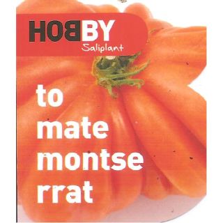 Compra TOMATE MONTSERRAT MS6 en la tienda online Fito Agrícola