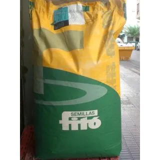 Compra HABA FABIOLA (20.000 Semillas) en la tienda online Fito Agrícola