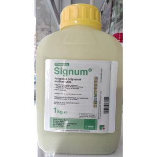 Compra SIGNUM (1 Kgr.). en la tienda online Fito Agrícola