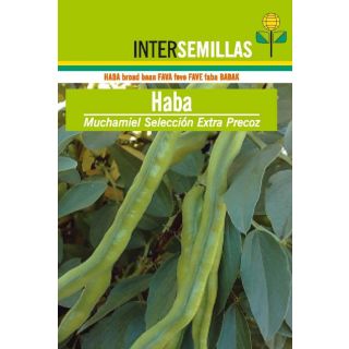 Compra HABA MUCHAMIEL EXTRA PRECOZ Sel. Intersemillas (5 Kgr.) en la tienda online Fito Agrícola