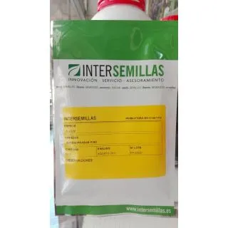 Compra CEAPĂ VERDE FINĂ (50 gr.). en la tienda online Fito Agrícola