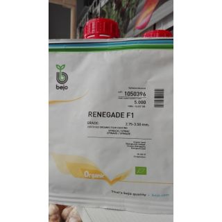 Compra ESPINACA RENEGADE F1 ECOLÓGICA Precisión (5.000 Semillas). en la tienda online Fito Agrícola