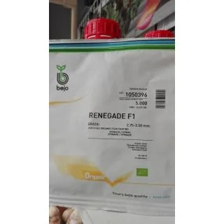 Compra ESPINACA RENEGADE F1 ECOLÓGICA Precisión (5.000 Semillas). en la tienda online Fito Agrícola