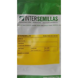 Compra SANTOLINA CHAMAECYPARISSUS (10 gr.). en la tienda online Fito Agrícola