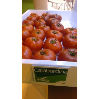 Compra TOMATE CALABARDINA F-1 (1000 Semillas) en la tienda online Fito Agrícola