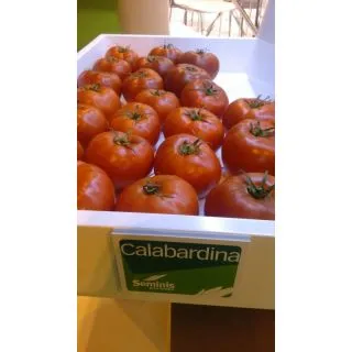 Compra TOMATE CALABARDINA F-1 (1000 Semillas) en la tienda online Fito Agrícola