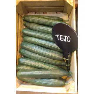 Compra PEPINO TEJO F-1 (1.000 Semillas) en la tienda online Fito Agrícola
