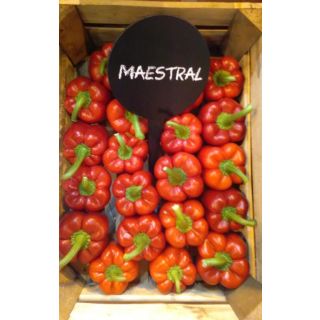 Compra PIMIENTO MAESTRAL F-1 (1.000 Semillas) en la tienda online Fito Agrícola