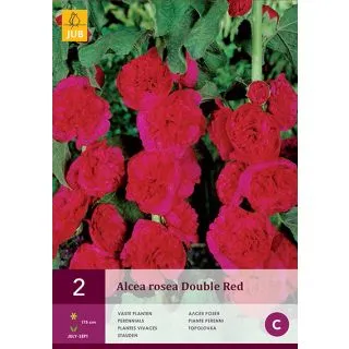 Compra ALCEA ROSEA RED en la tienda online Fito Agrícola