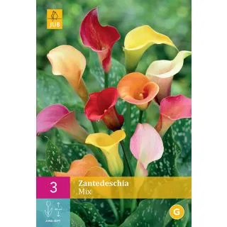 Compra CALA MIX XXL en la tienda online Fito Agrícola