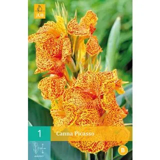 Compra CANNA PICASSO en la tienda online Fito Agrícola