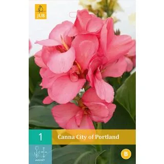 Compra CANNA CITY OF PORTLAND en la tienda online Fito Agrícola