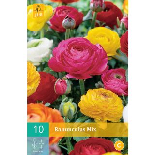 Compra RANÚNCULOS MIX en la tienda online Fito Agrícola