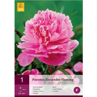 Compra PEONÍA ALEXANDER FLEMING en la tienda online Fito Agrícola