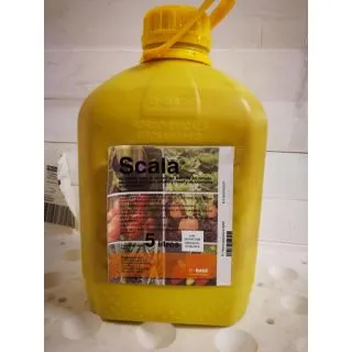 Compra SCALA (5 l.). en la tienda online Fito Agrícola