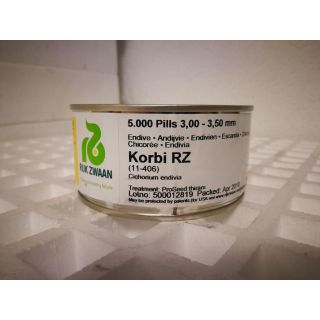 Compra ESCAROLA KORBI RZ Pildorada (5.000 Semillas). en la tienda online Fito Agrícola