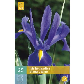 Compra IRIS HOLANDICA BLUE en la tienda online Fito Agrícola