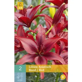 Compra LILIUM RED ASIATICO en la tienda online Fito Agrícola