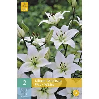 Compra LILIUM WHITE ASIATICO en la tienda online Fito Agrícola