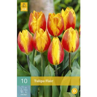 Compra TULIPÁN FLAIR en la tienda online Fito Agrícola