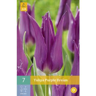 Compra TULIPÁN PURPLE DREAM en la tienda online Fito Agrícola