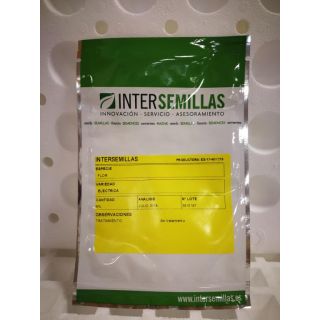 Compra FLOR ELÉCTRICA ACMELLA AMARILLA - Comestible (1000 Semillas) en la tienda online Fito Agrícola