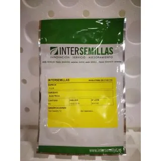 Compra FLOR ELÉCTRICA ACMELLA AMARILLA - Comestible (1000 Semillas) en la tienda online Fito Agrícola