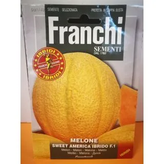 Compra MELÓN SWEET AMÉRICA F1 (0,3 gr.) en la tienda online Fito Agrícola