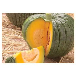 Compra CALABAZA ROTEÑA (500 gr.) en la tienda online Fito Agrícola