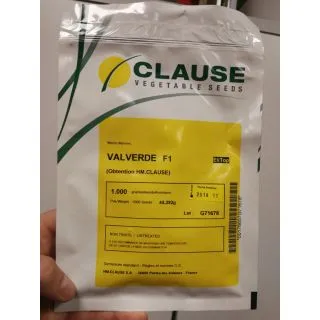 Compra MELÓN VALVERDE F1 (1000 Semillas) en la tienda online Fito Agrícola