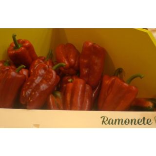 Compra PIMIENTO RAMONETE F-1 Injertado EPS104 en la tienda online Fito Agrícola