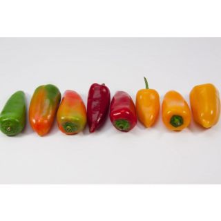 Compra PIMIENTO SNACKING NARANJA EPS150 en la tienda online Fito Agrícola