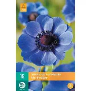 Compra ANEMONĂ MR. FOKKER en la tienda online Fito Agrícola