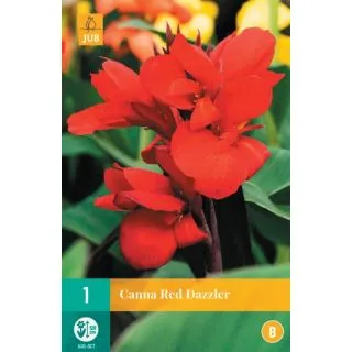Compra CANNA RED DAZZLER en la tienda online Fito Agrícola