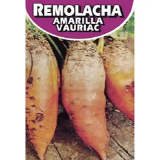 Compra REMOLACHA FORRAJERA AMARILLA VAURIAC (500 gr.). en la tienda online Fito Agrícola