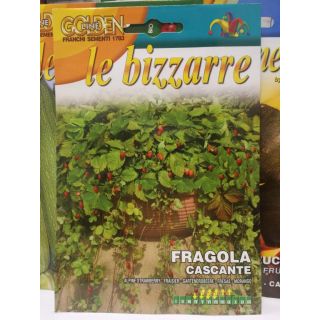 Compra FRESA COLGANTE ATTILA (0,2 gr.). en la tienda online Fito Agrícola