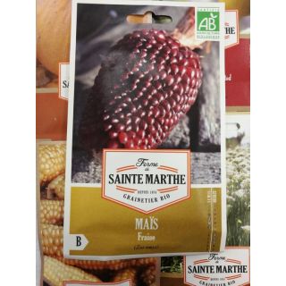 Compra MAÍZ FRESA POP CORN AB (50 Semillas) en la tienda online Fito Agrícola