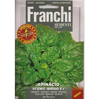 Compra ESPINACA SCENIC F-1 (10 gr.) en la tienda online Fito Agrícola