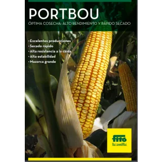 Compra MAÍZ PORTBOU Ciclo 700 Sin Tratar (50.000 Semillas) en la tienda online Fito Agrícola