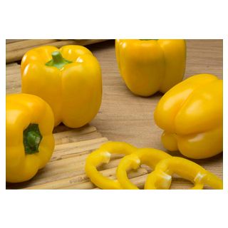 Compra PIMIENTO MINGOTE F-1 (1.000 Semillas). en la tienda online Fito Agrícola