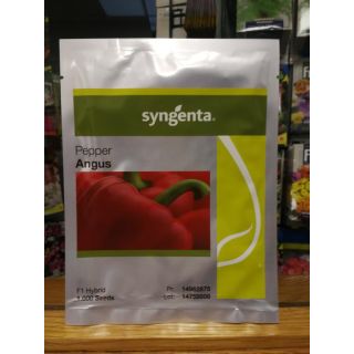 Compra PIMIENTO ANGUS F-1 (1.000 Semillas). en la tienda online Fito Agrícola