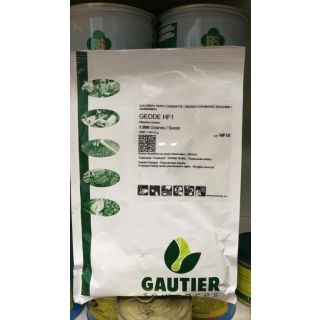 Compra CALABACÍN GEODE F1 (1.000 Semillas) en la tienda online Fito Agrícola