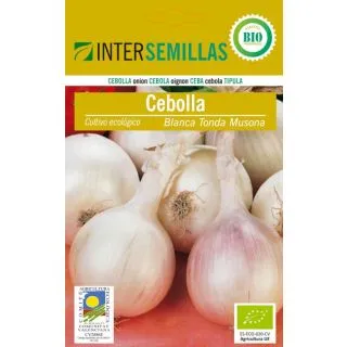Compra CEBOLLA BLANCA TONDA MUSONA ECOLÓGICA (3 gr.). en la tienda online Fito Agrícola
