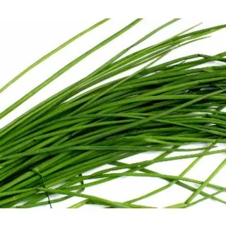Compra ARPAȘ GRAS (1 kg). en la tienda online Fito Agrícola