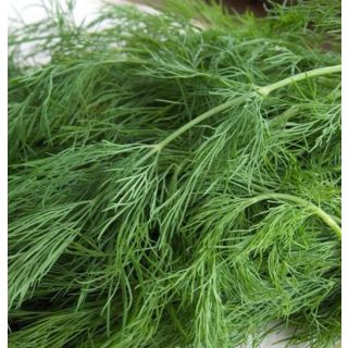 Compra ENELDO BOUQUET (5 Kgr.). en la tienda online Fito Agrícola