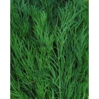 Compra ENELDO TETRA (5 Kgr.). en la tienda online Fito Agrícola